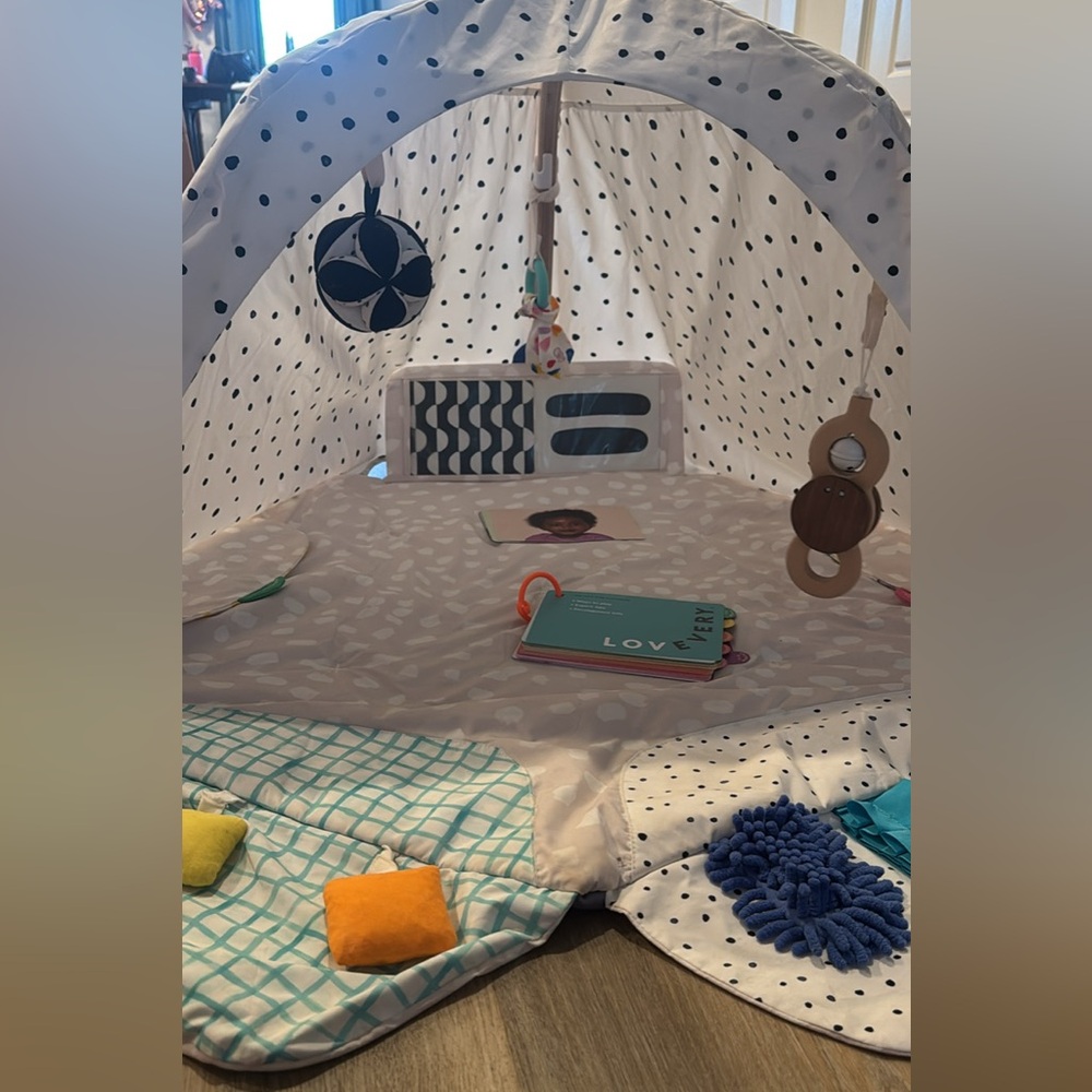 Lovevery Play Gym